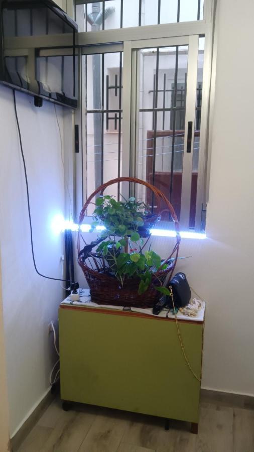 Apartamento Alicia Madrid Ngoại thất bức ảnh
